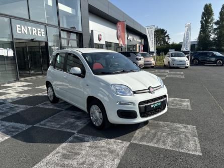 FIAT Panda 1.2 8v 69ch S&S Easy  Euro6D à vendre à Châteauroux - Image n°3