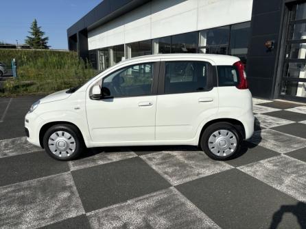 FIAT Panda 1.2 8v 69ch S&S Easy  Euro6D à vendre à Châteauroux - Image n°8