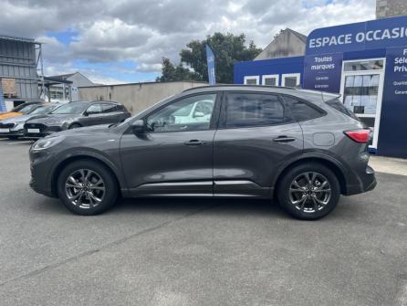 FORD Kuga 1.5 EcoBlue 120ch ST-Line Business à vendre à Orléans - Image n°9