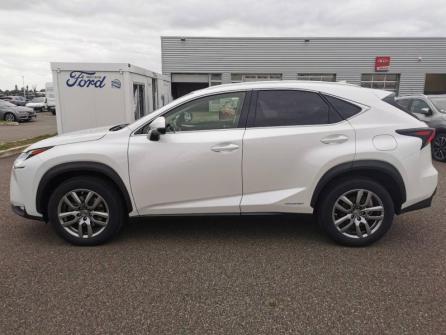 LEXUS NX 300h 4WD Luxe à vendre à Montargis - Image n°8