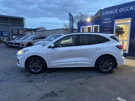 FORD Kuga 2.5 Duratec 190ch FHEV ST-Line BVA à vendre à Orléans - Image n°8